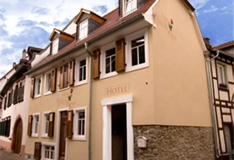 Hotelli Kleine Villa Rose
