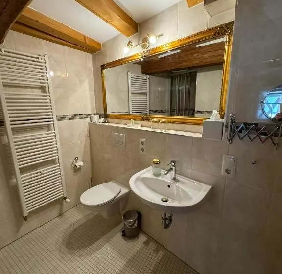 Hotelli Kleine Villa Rose