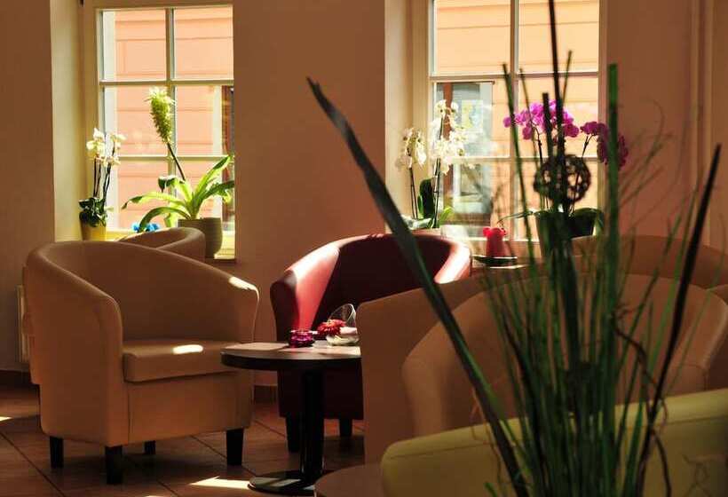 호텔 Müritzterrasse