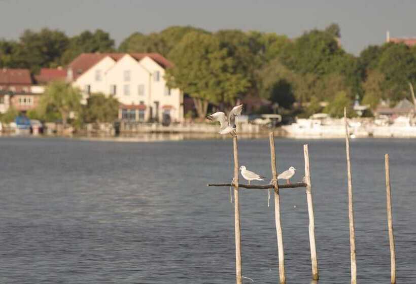 호텔 Müritzterrasse