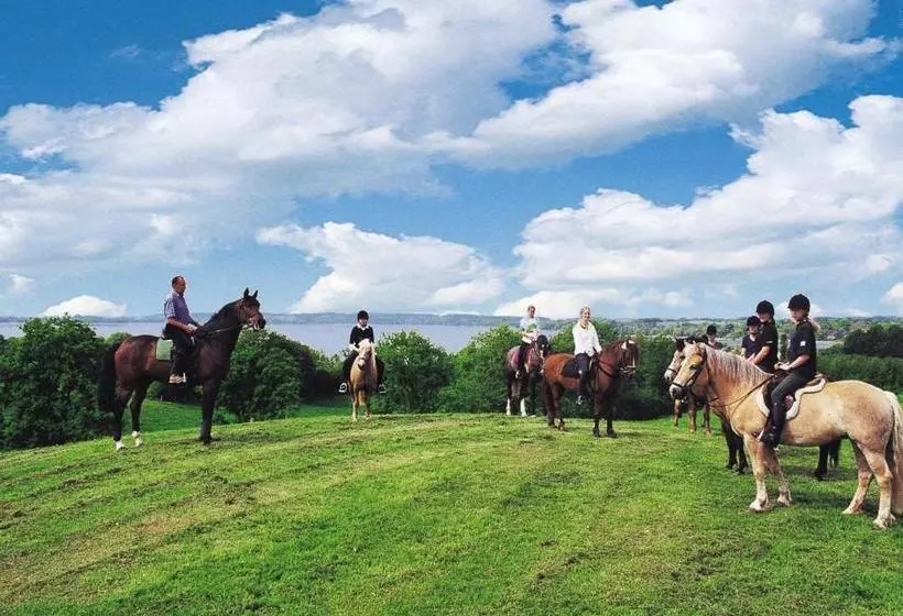 ホテル Ponyhof Naeve Am Wittensee