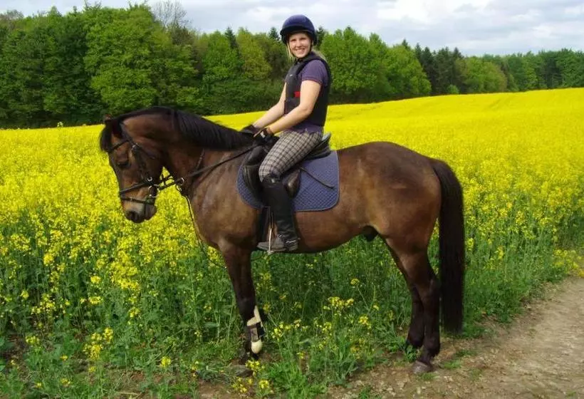 ホテル Ponyhof Naeve Am Wittensee