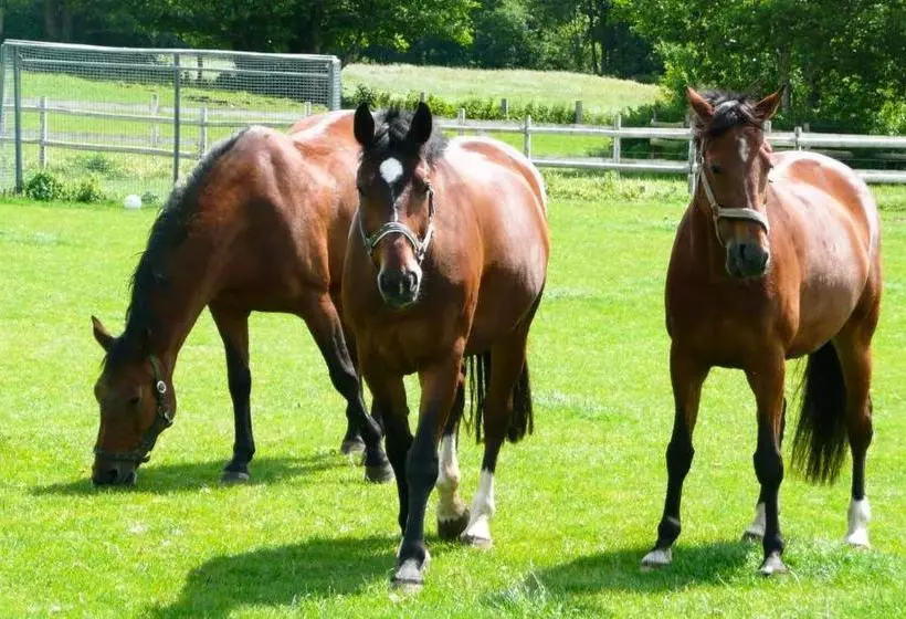 ホテル Ponyhof Naeve Am Wittensee