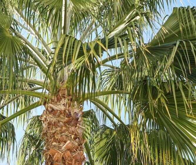 Villa Pruly Hotel Cannes Centre