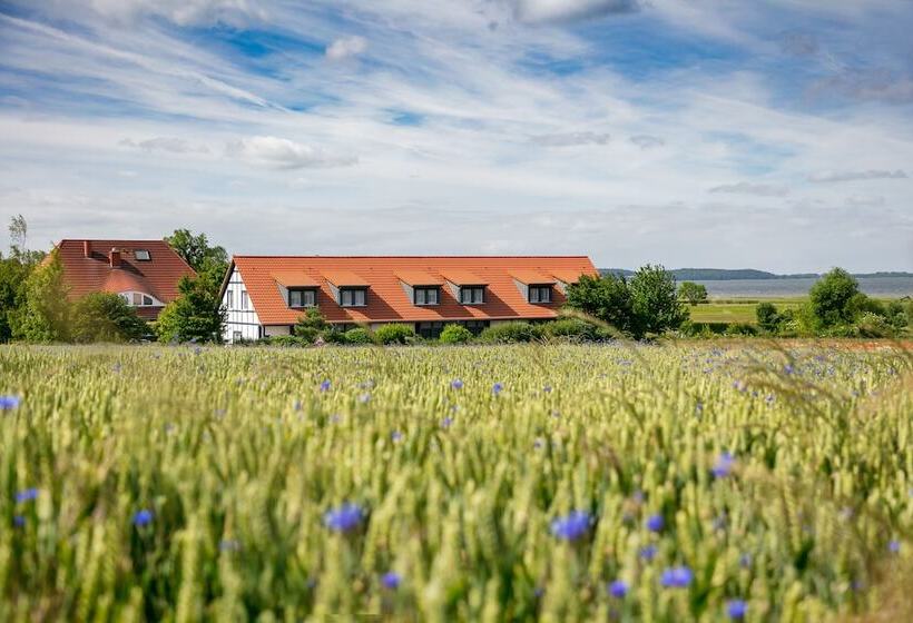 H.w.s. Hotel Der Wilde Schwan