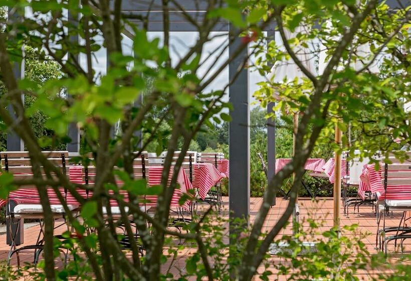 H.w.s. Hotel Der Wilde Schwan