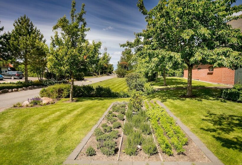 H.w.s. Hotel Der Wilde Schwan