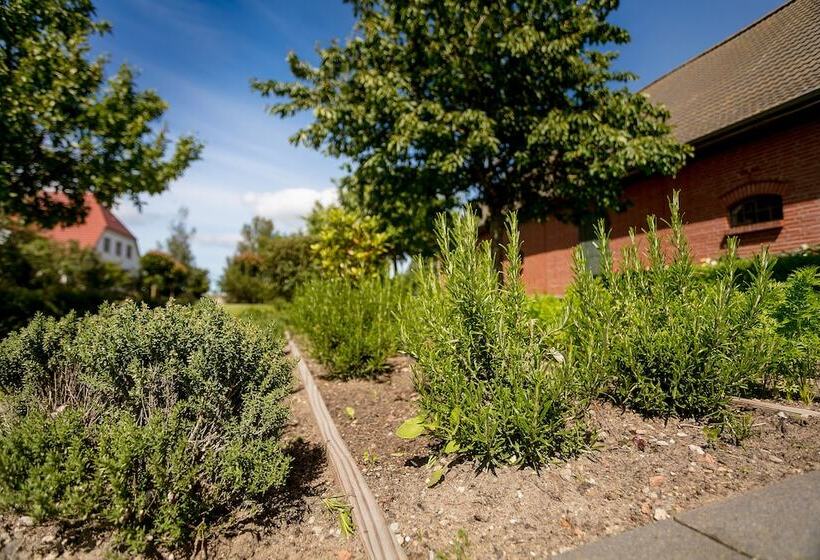 H.w.s. Hotel Der Wilde Schwan