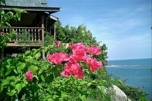 Herberge Lighthouse Bungalows