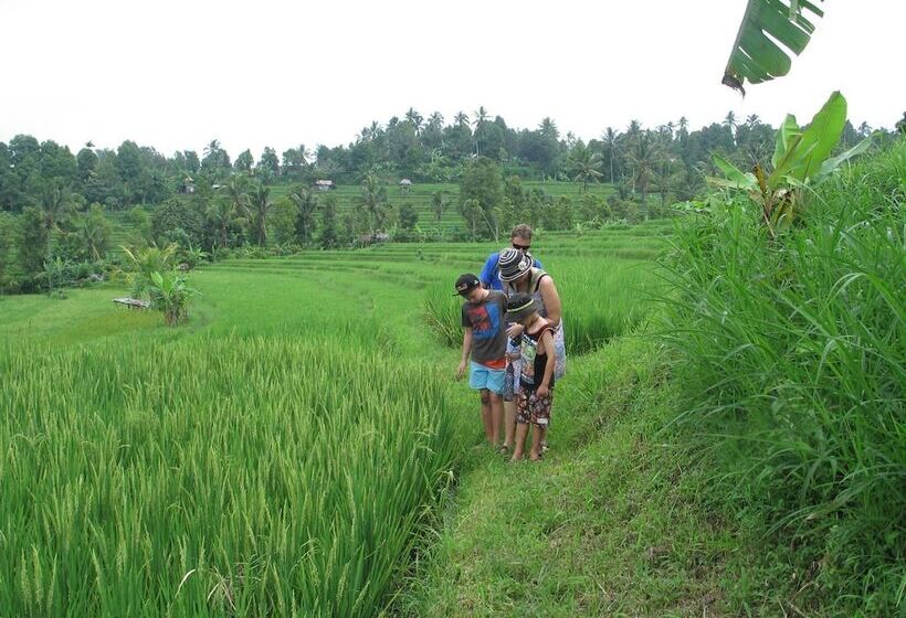 فندق صغير Santhiku Hotel, Villas, Yoga & Spa