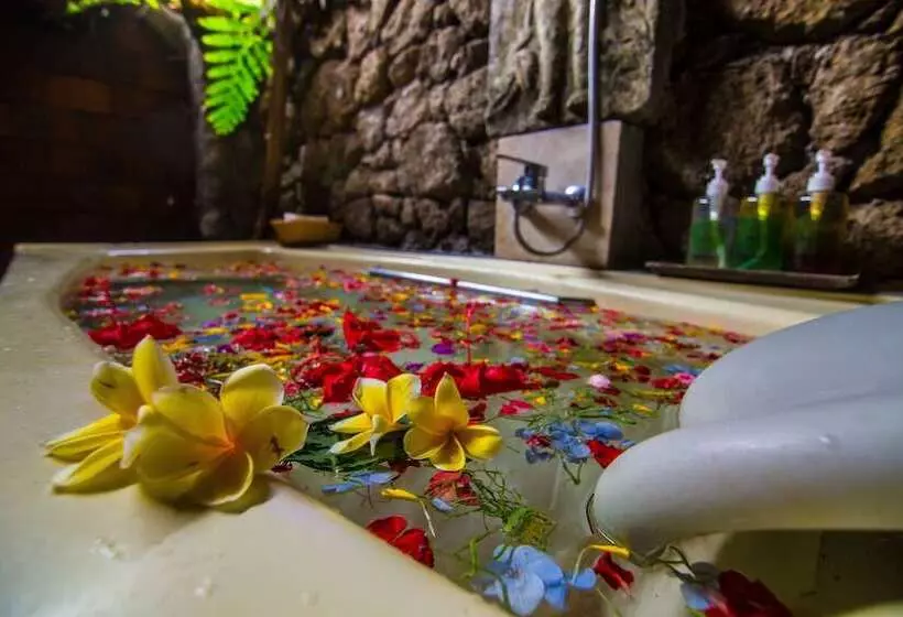 ユースホステル Santhiku Hotel, Villas, Yoga & Spa