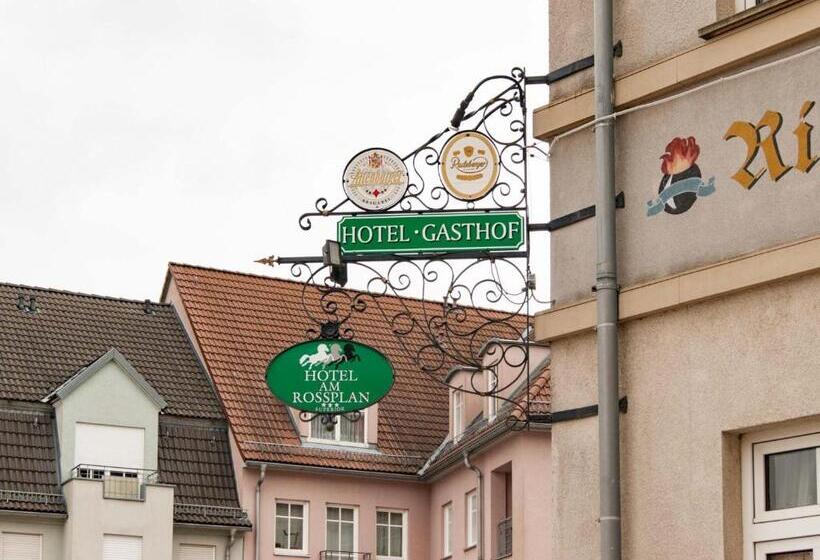 فندق Am Rossplan