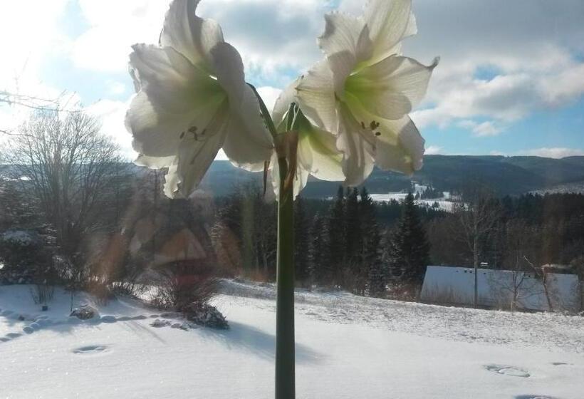 Отель Gasthof Straub