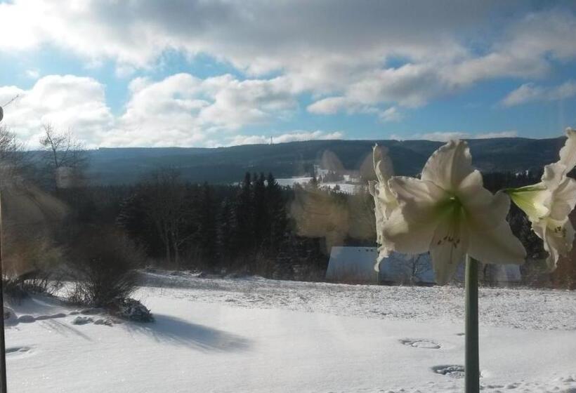 Отель Gasthof Straub