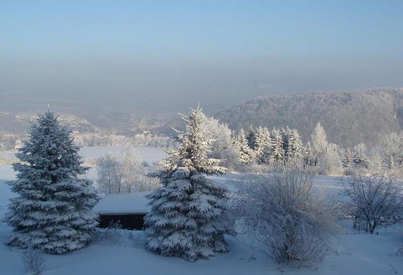 ホテル König Albert Höhe