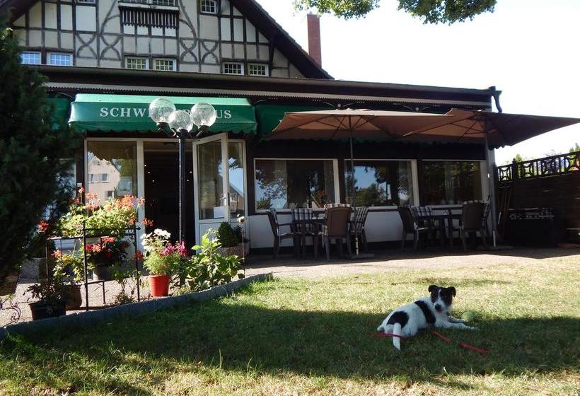 ホテル Schweizerhaus