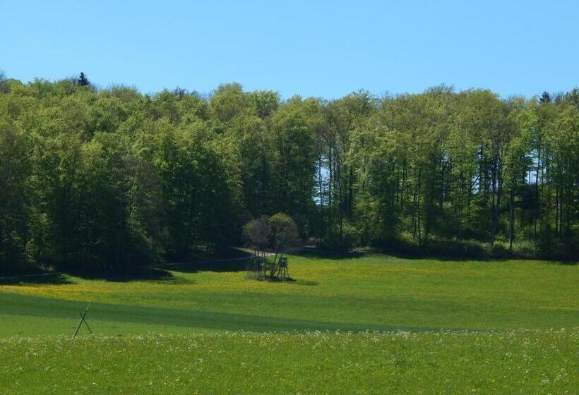 Отель Speidel´s Braumanufaktur