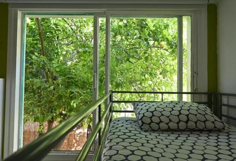 Lemongrass Hostel