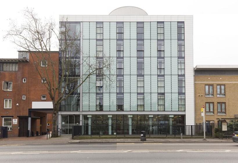 호스텔 Davies Court