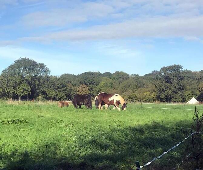 민박 Accommodation Bristol Airport