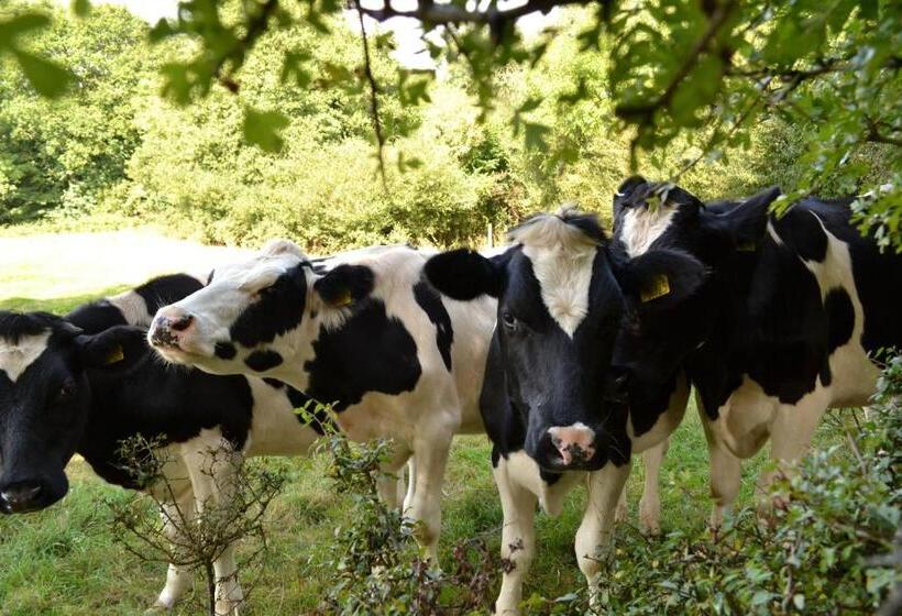 민박 Accommodation Bristol Airport