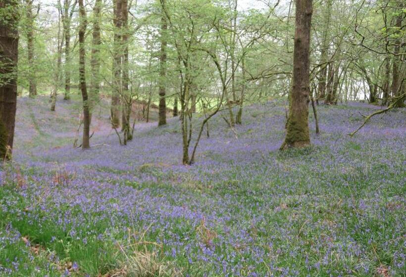 ベッドアンドブレックファースト Slack Cottage