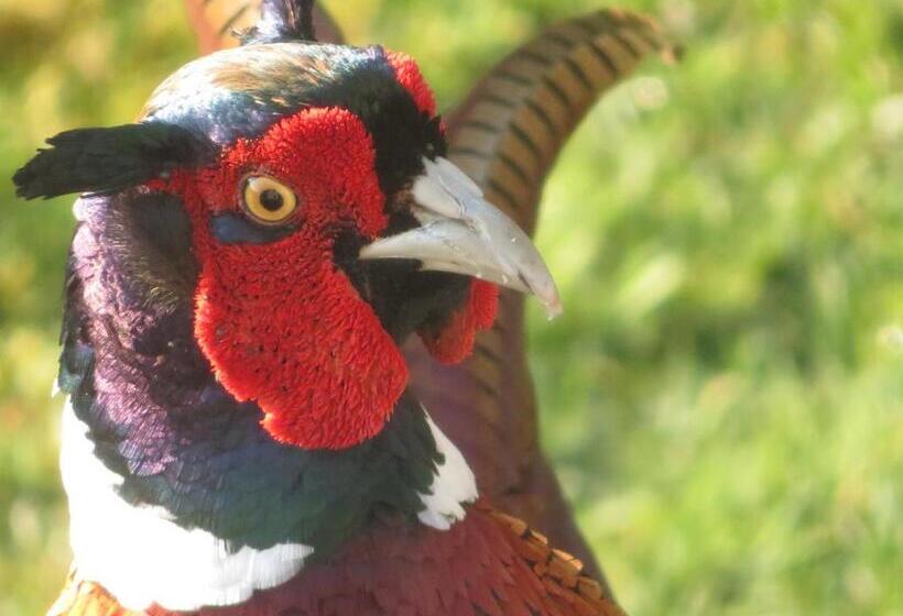 ベッドアンドブレックファースト Slack Cottage