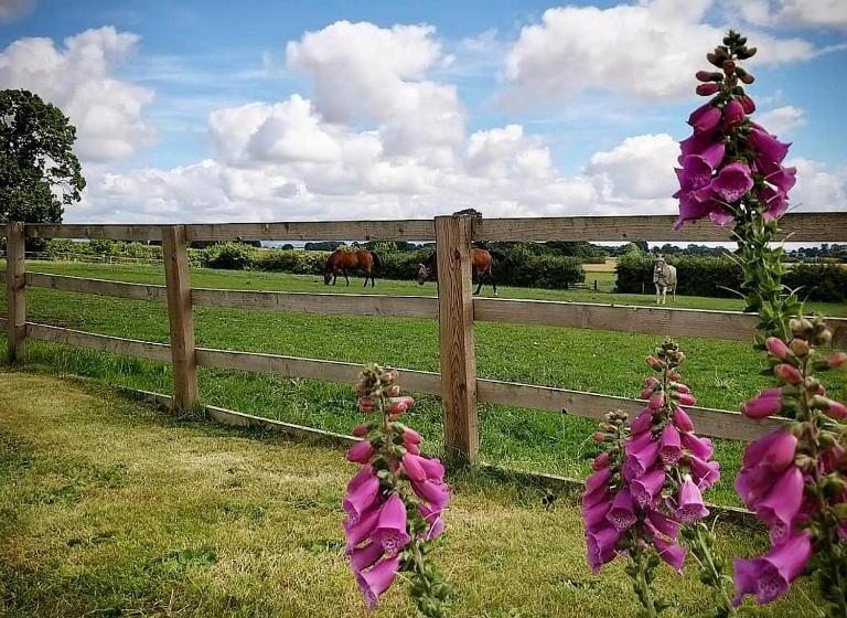 Burton Grange Farmhouse B&b