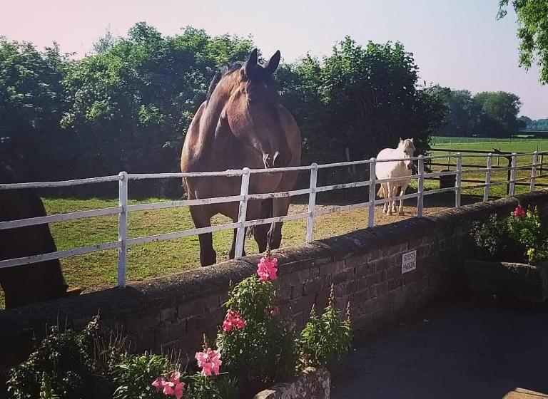 Burton Grange Farmhouse B&b