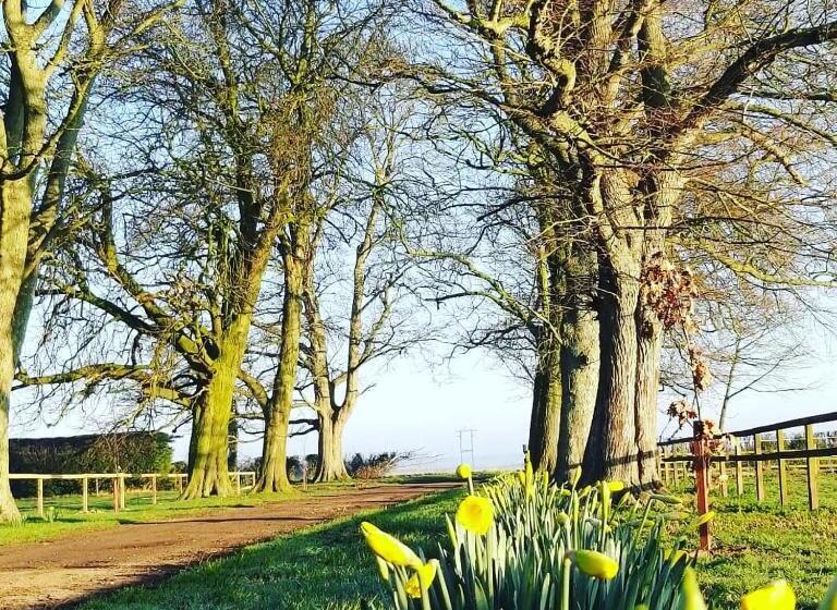 Burton Grange Farmhouse B&b