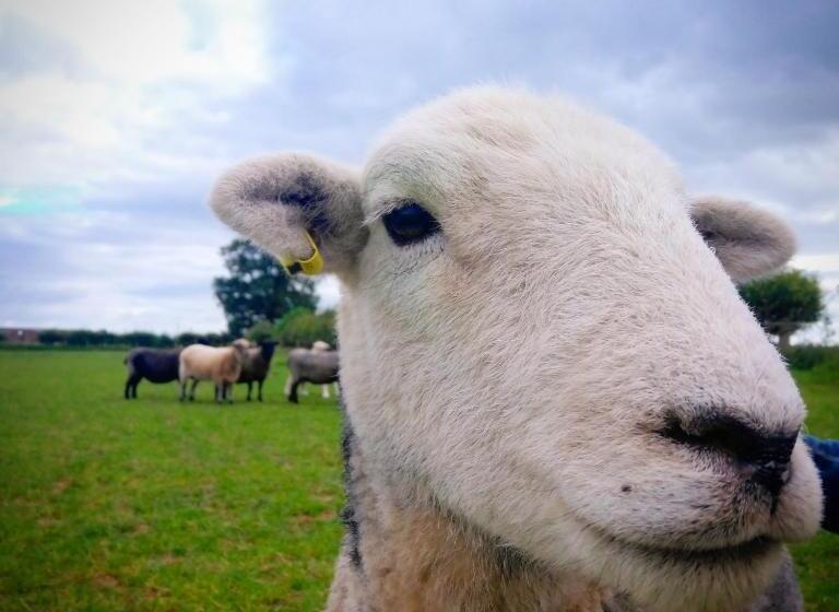 Burton Grange Farmhouse B&b