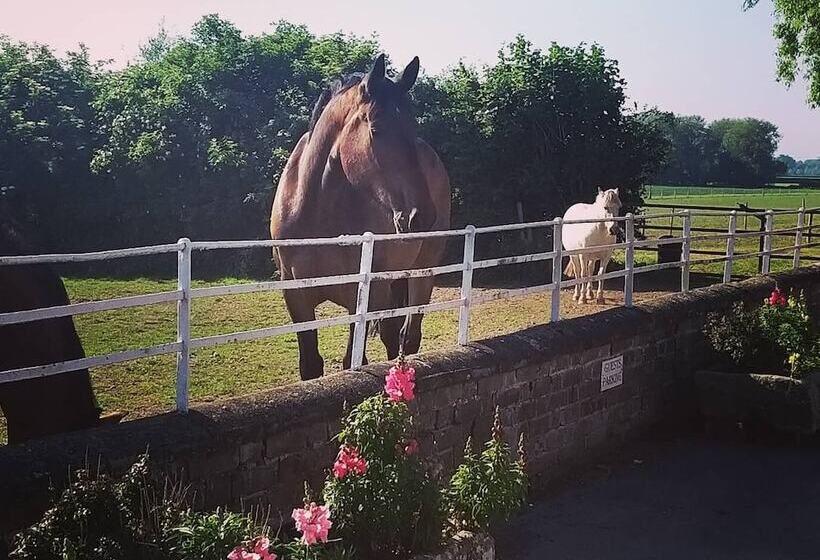 Burton Grange Farmhouse B&b