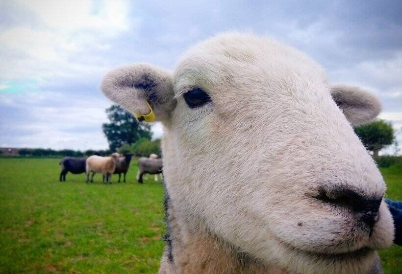 Burton Grange Farmhouse B&b