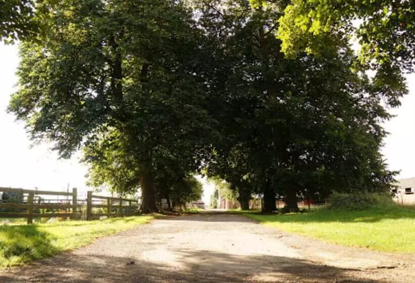 Burton Grange Farmhouse B&b