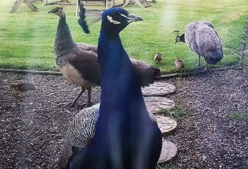 Burton Grange Farmhouse B&b