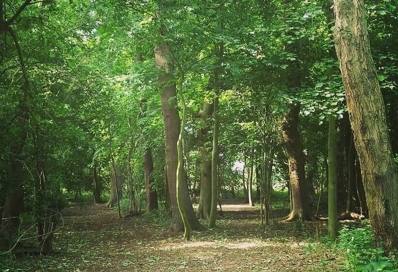 Burton Grange Farmhouse B&b