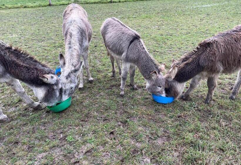 مبيت وإفطار Goss Hall