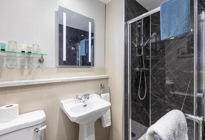 酒店 The Black Swan Inn