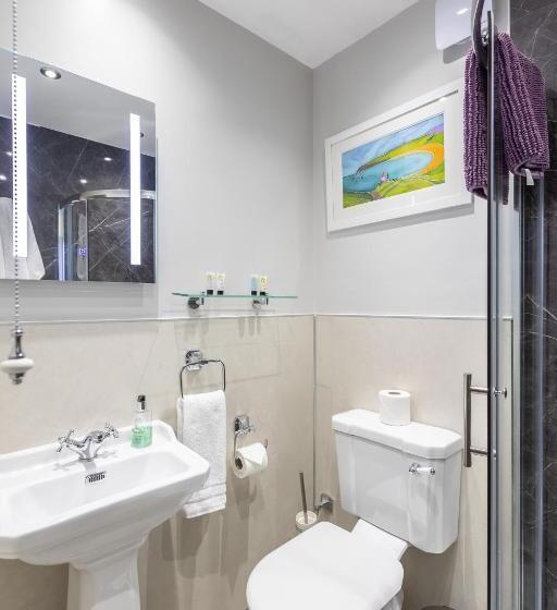 酒店 The Black Swan Inn