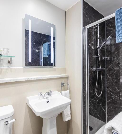 酒店 The Black Swan Inn