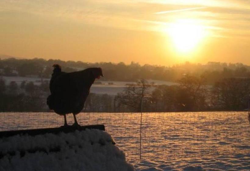 Bed and Breakfast Ladderstile Retreat