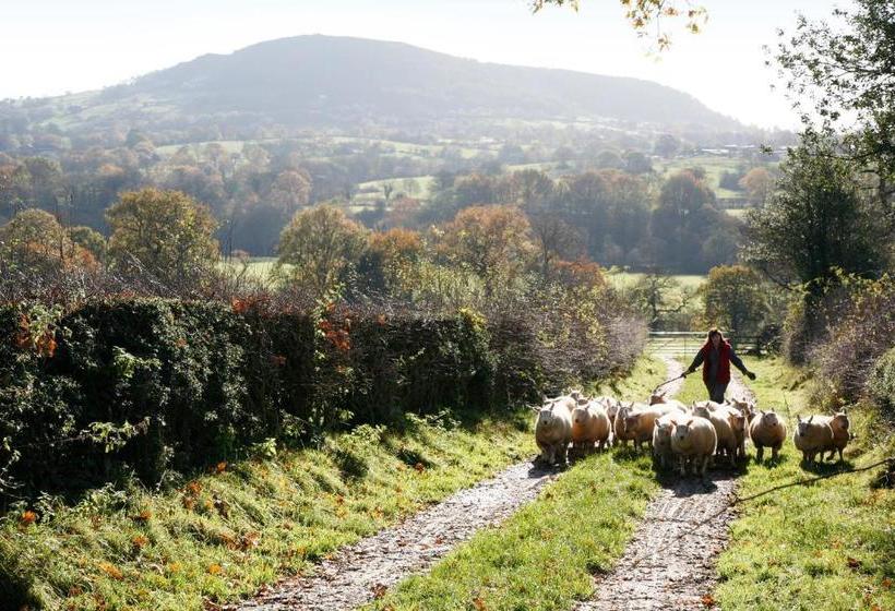 Bed and Breakfast Ladderstile Retreat