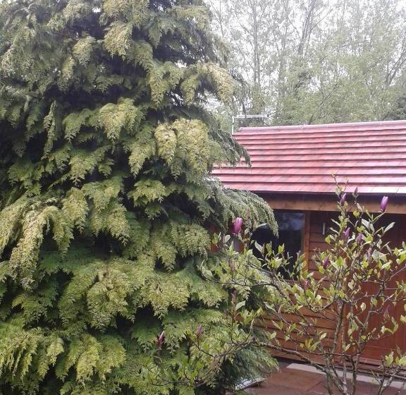 ベッドアンドブレックファースト Manor Garden Lodge