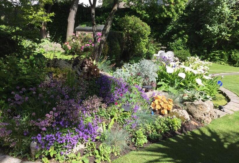 Bed and Breakfast Queen Anne House