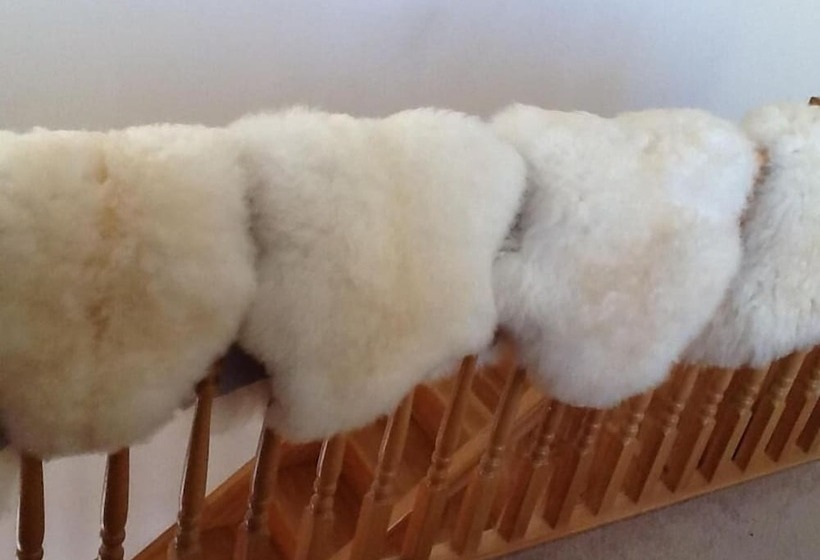 ベッドアンドブレックファースト The Antlers