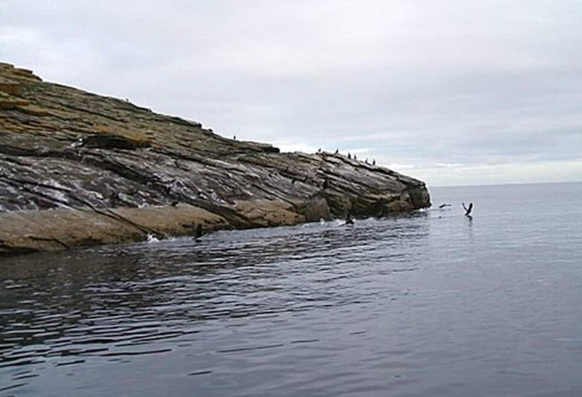 ベッドアンドブレックファースト The Antlers