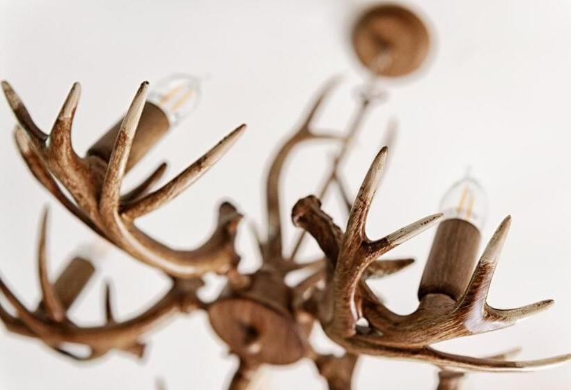 Bed and Breakfast The Coach House