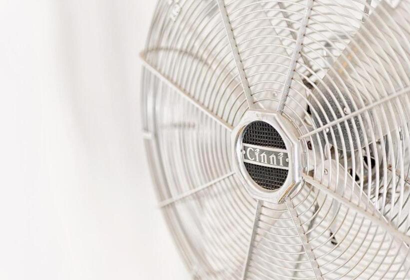 Bed and Breakfast The Coach House