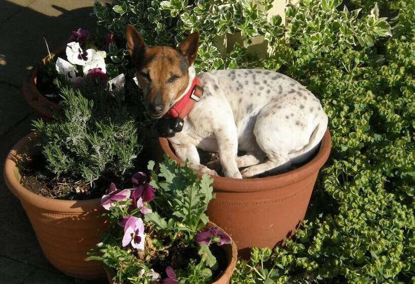 Bed and Breakfast Threeways House