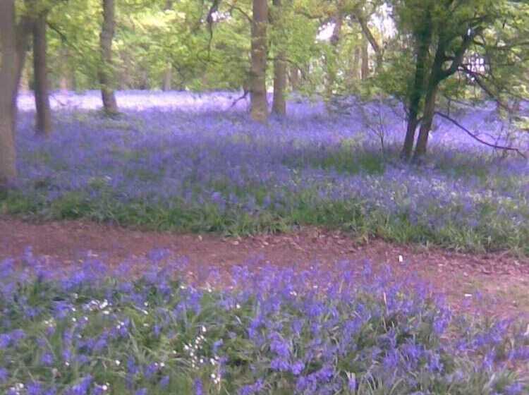 Bed and Breakfast Threeways House